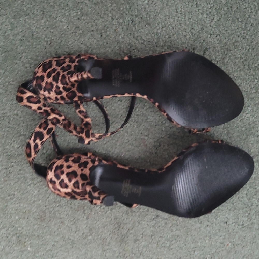 Metaphor shoe